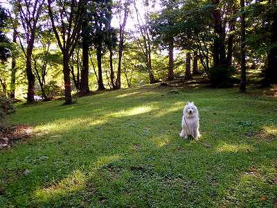 View of Kimimachizaka campsite
