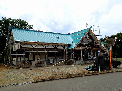 2019-Sept. in Chokai-no-shinrin wood park