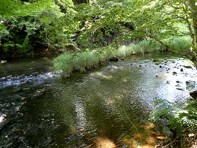 Tsubo-kawa River in Shichinohe-machi shinrin-koen campsite