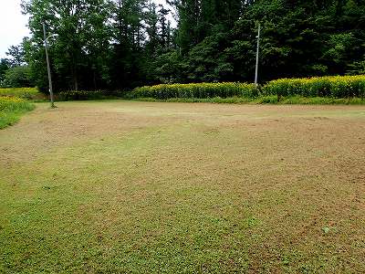 朝日公園キャンプ場のテントサイト２