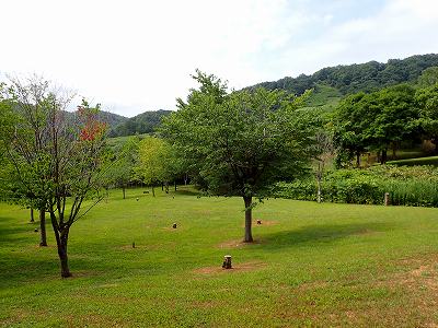 神居岩公園グリーンスポーツキャンプ場の全景