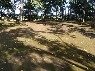 田島公園キャンプ場のサイト全景