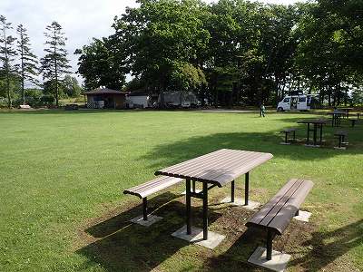 田島公園キャンプ場のピクニック広場