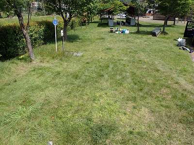 滝上町渓谷公園キャンプ場のサイト全景