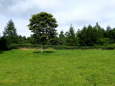 Tentsite 2 in Tokushunbetu-sanroku campsite