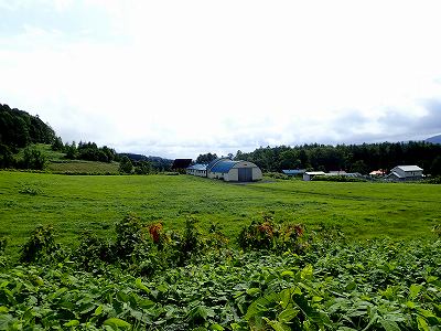 Cattle ranch in Tokushunbetu-sanroku campsite