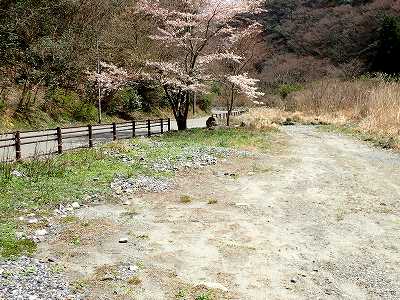 Tentsite 2 in Gijientei campsite
