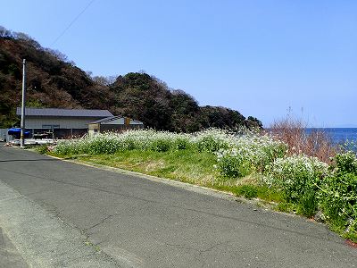 View of Mue beach campsite