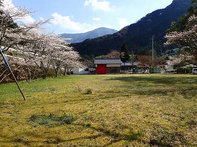 明河キャンプ場のサイト全景