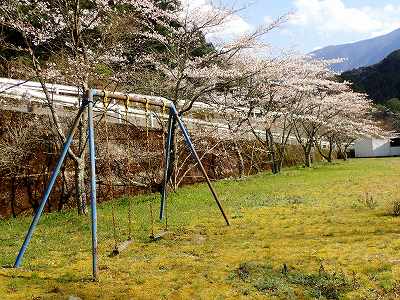 明河キャンプ場の遊具
