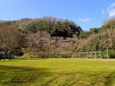 くつろぎ公園の全景