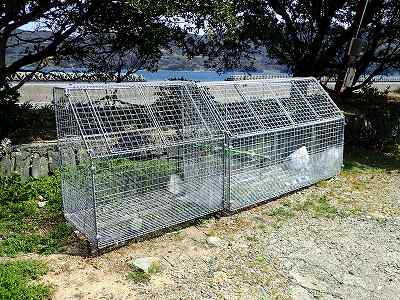 2019-Mar. Suka-koen campsite