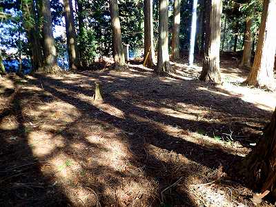 高縄山 千手杉広場キャンプ場のサイト全景