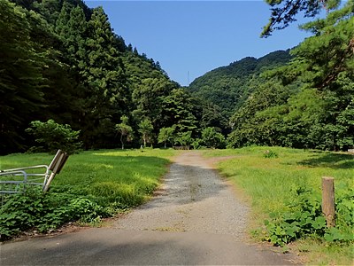 勝原園地のサイト全景