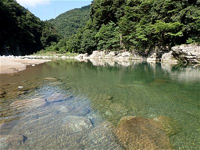 勝原園地を流れる九頭竜川