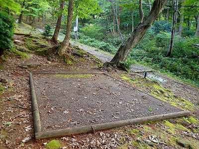 野坂いこいの森のサイト全景