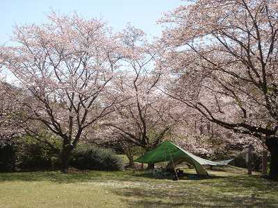 View of Hoki-koen campsite