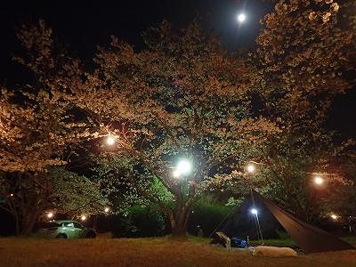 2018 Mar. Hoki-koen campsite