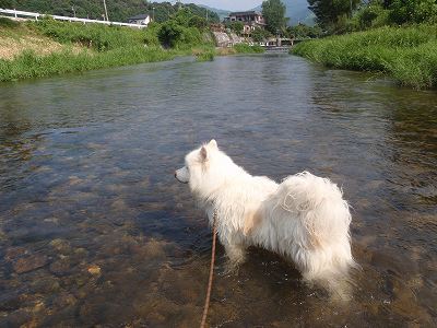 River in front of Imagawa-koen
