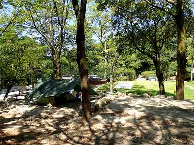 昭和の森 一本松公園キャンプ場