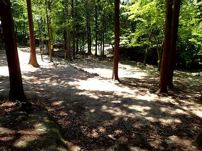 昭和の森 猫石側キャンプ場のサイト全景