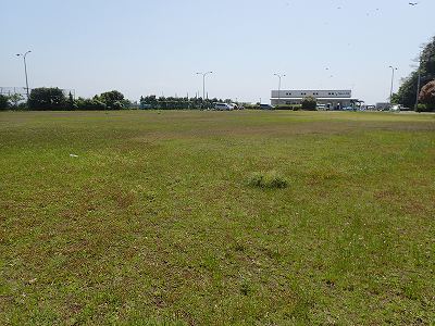 View of Undo-koen in frot of Uming Oshima 2