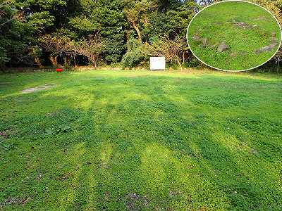 Teppen Hiroba in Yahazu-yama campsite