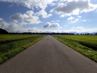 View of Rice field around Sakka-hama campsite
