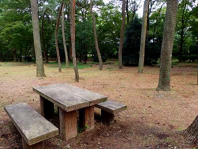 角渕キャンプ場のサイト全景