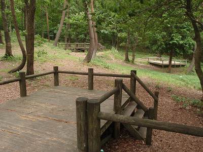 Tent pads of Hijiri-ko campsite