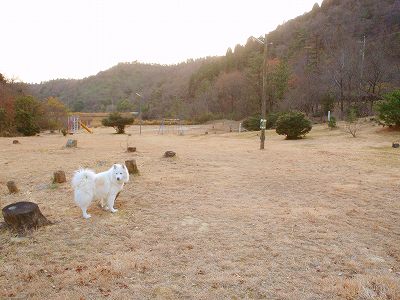 View of Hongo ikoinomori campsite
