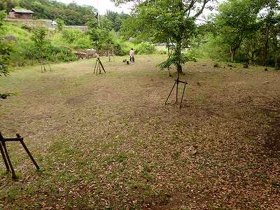 Tent site in Kaita sogo-koen campsite