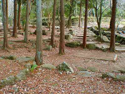 Tent pads in Kaita sogo-koen campsite