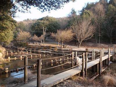 Keyaki public square of Mikumarikyo shinrin-koen campsite