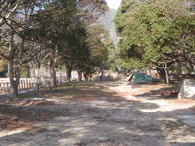 野呂川ダム公園キャンプ場のサイト全景