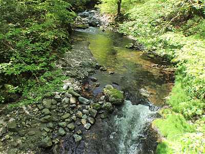 Ota-gawa River in front of Hosomidani Tachino campsite