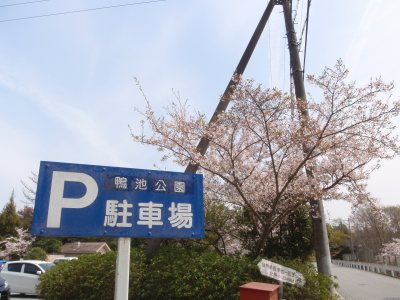 Parking lot of Kamoike-koen campsite