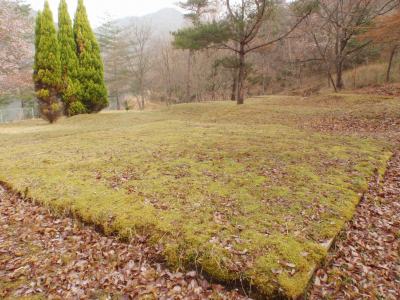 View of Okuyama campsite