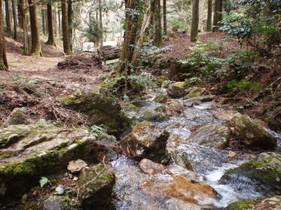 Mountain stream-side of Shinomi shijyuhachitaki campsite