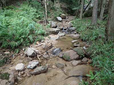 Mountain stream of Shiraito-no-taki campsite
