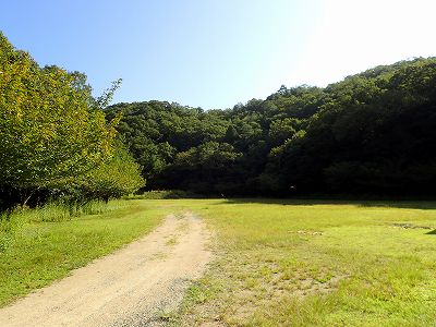 Tentsite 2 in Yasumuro dam campsite