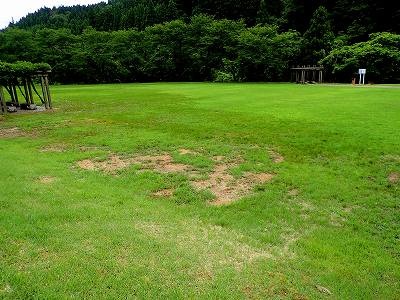 赤瀬ダム自由広場のサイト全景