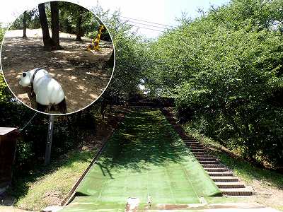 朝日山森林公園キャンプ場の人工芝そりゲレンデ