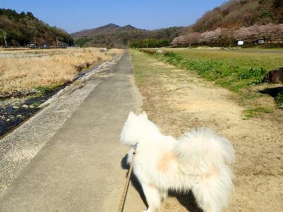 ことなみ土器どきひろばの川沿いのサイト