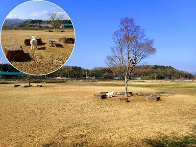 ことなみ土器どきひろば