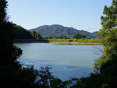 とらまる公園キャンプ場前の川田池