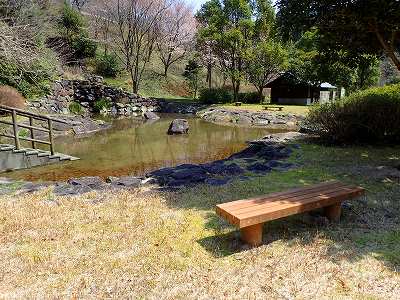 日平公園の滝のある池