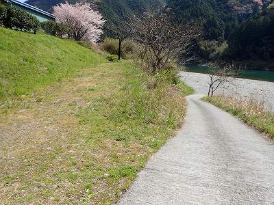 日ノ瀬清流公園のテントサイト２