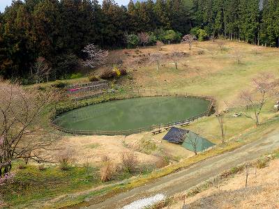 星ヶ窪キャンプ場のサイト全景