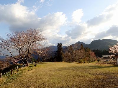 星ヶ窪キャンプ場のテントサイト２